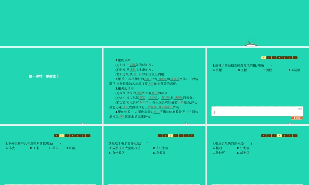 八年级生物上册 第四单元 第一章 第五节 根的结构与功能(第1课时 根的生长)课件 (新版)济南版 课件