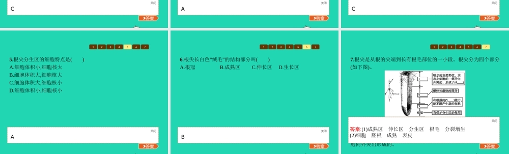 八年级生物上册 第四单元 第一章 第五节 根的结构与功能(第1课时 根的生长)课件 (新版)济南版 课件