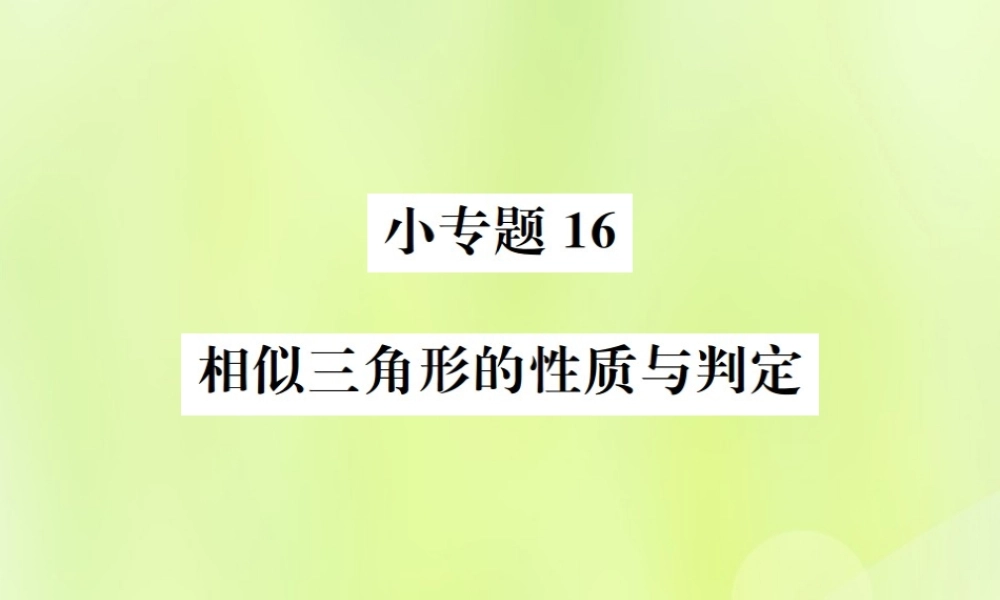 九年级数学下册 第二十七章 相似 小专题16 相似三角形的性质与判定课件 (新版)新人教版 课件