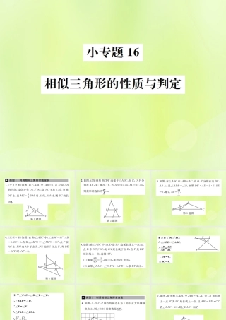 九年级数学下册 第二十七章 相似 小专题16 相似三角形的性质与判定课件 (新版)新人教版 课件