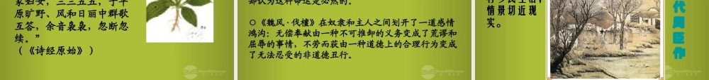 中学七年级语文上册(诗经)素材课件2 新人教版 课件-2