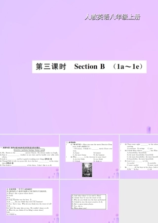 八年级英语上册 Unit 4 What is the best movie theater(第3课时)Section B习题课件 (新版)人教新目标版 课件