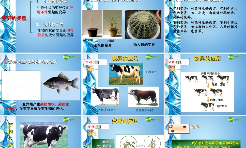 八年级生物下册 第21章第2节生物的变异课件课件 苏科版 课件