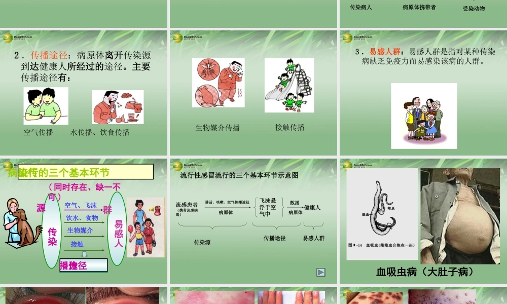 八年级生物下册 第五章 传染病及其预防配套课件 鲁科版 课件