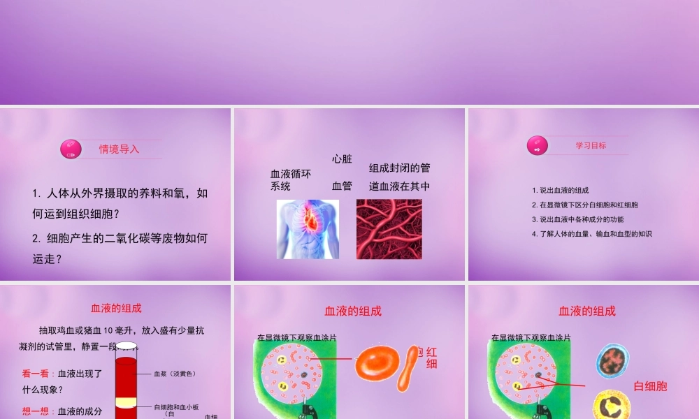 七年级生物下册 第四章 第1节(流动的组织—血液)课件 新人教版 课件