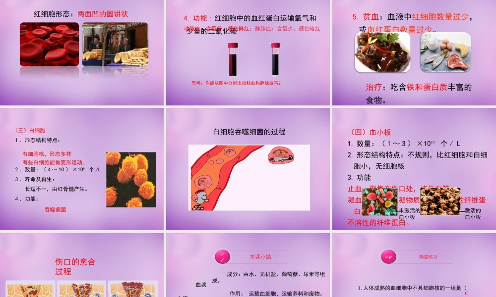 七年级生物下册 第四章 第1节(流动的组织—血液)课件 新人教版 课件