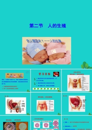 七年级生物下册 4.1.2 人的生殖课件 七年级生物下册 4.1.2 人的生殖课件+素材(新版)新人教版