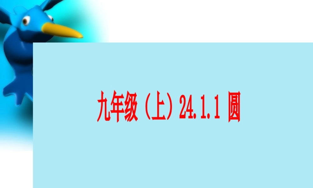 九年级数学(上)2411圆课件人教版 课件