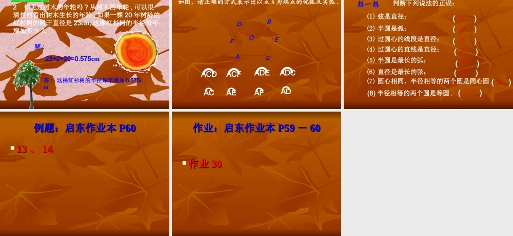 九年级数学(上)2411圆课件人教版 课件