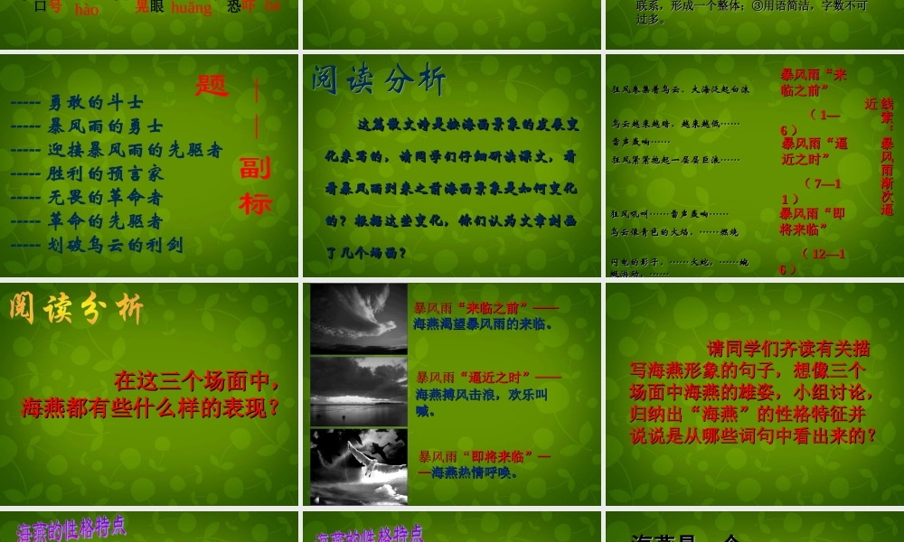 七年级语文下册 第6课(海燕)课件2 北京课改版 课件