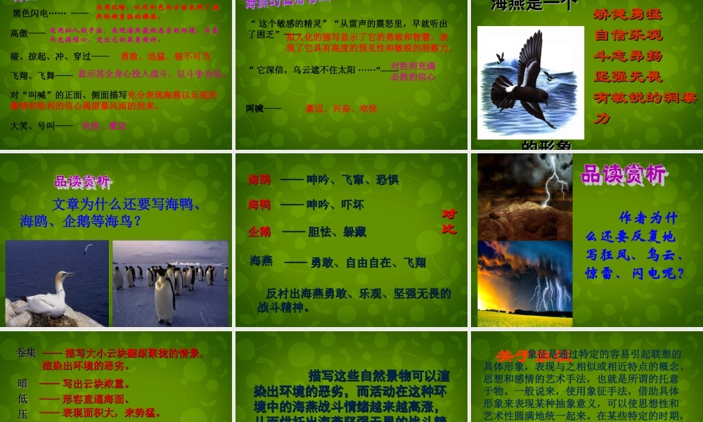 七年级语文下册 第6课(海燕)课件2 北京课改版 课件