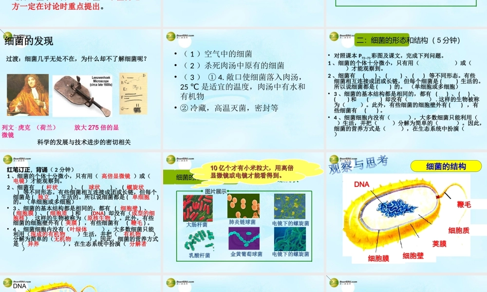 八年级生物上册 第五单元 第四章 第二节 细菌课件 新人教版 课件
