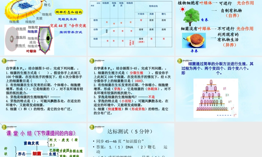 八年级生物上册 第五单元 第四章 第二节 细菌课件 新人教版 课件