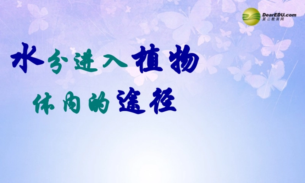 中学七年级生物上册 水分进入植物体的途径课件 鲁科版 课件