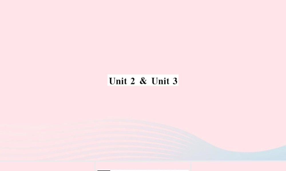 七年级英语上册 Module 8 Choosing presents Unit 2 Unit 3(小册子)课件 (新版)外研版 课件
