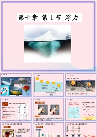 八年级物理下册 10.1 浮力课件 (新版)新人教版 课件