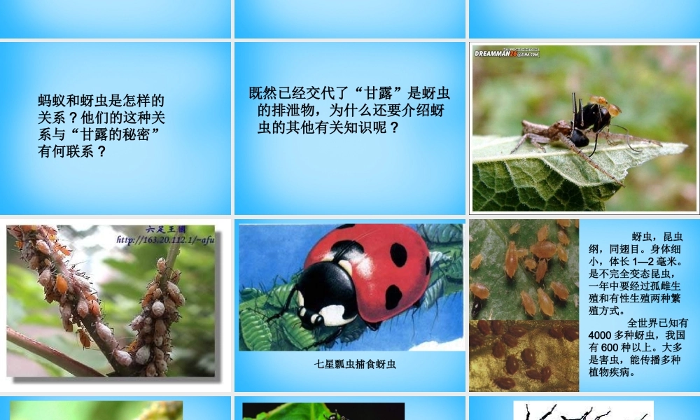 七年级语文下册 18 甘露的秘密课件 鄂教版 课件