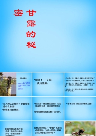 七年级语文下册 18 甘露的秘密课件 鄂教版 课件