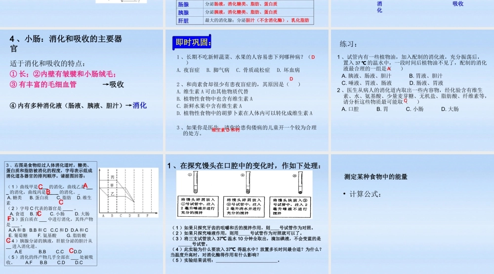 九年级生物 第四单元第二章人体的营养课件 人教新课标版 课件
