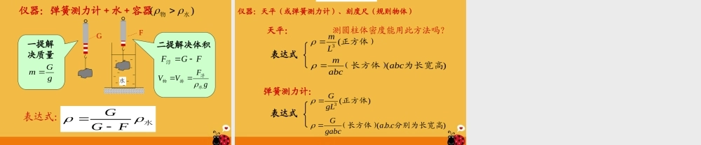 九年级物理 多种方法测物质的密度课件 人教新课标版 课件