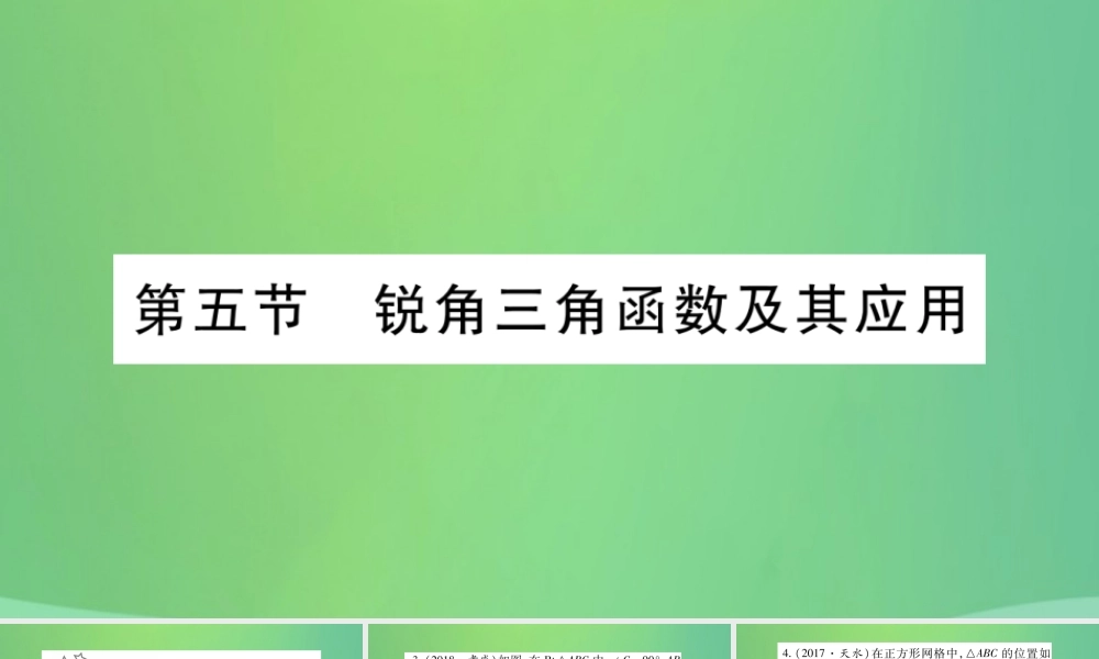 中考数学复习 第一轮 考点系统复习 第四章 三角形 第五节 锐角三角函数及其应用(精练)课件