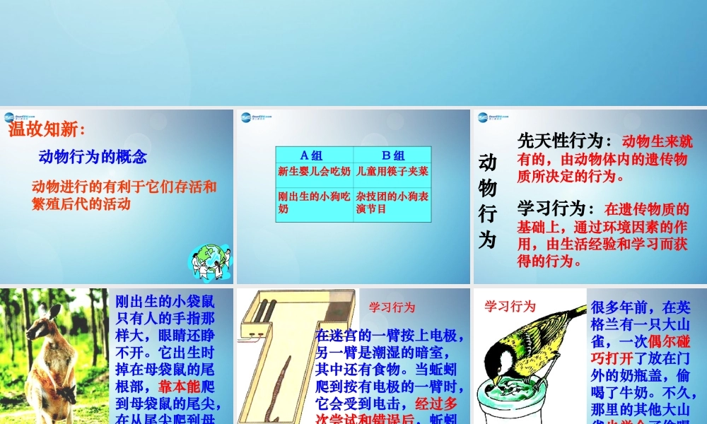 八年级生物上册 第二章 第二节 先天性行为和学习行为课件3 新人教版 课件