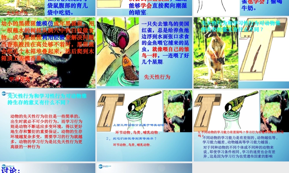 八年级生物上册 第二章 第二节 先天性行为和学习行为课件3 新人教版 课件