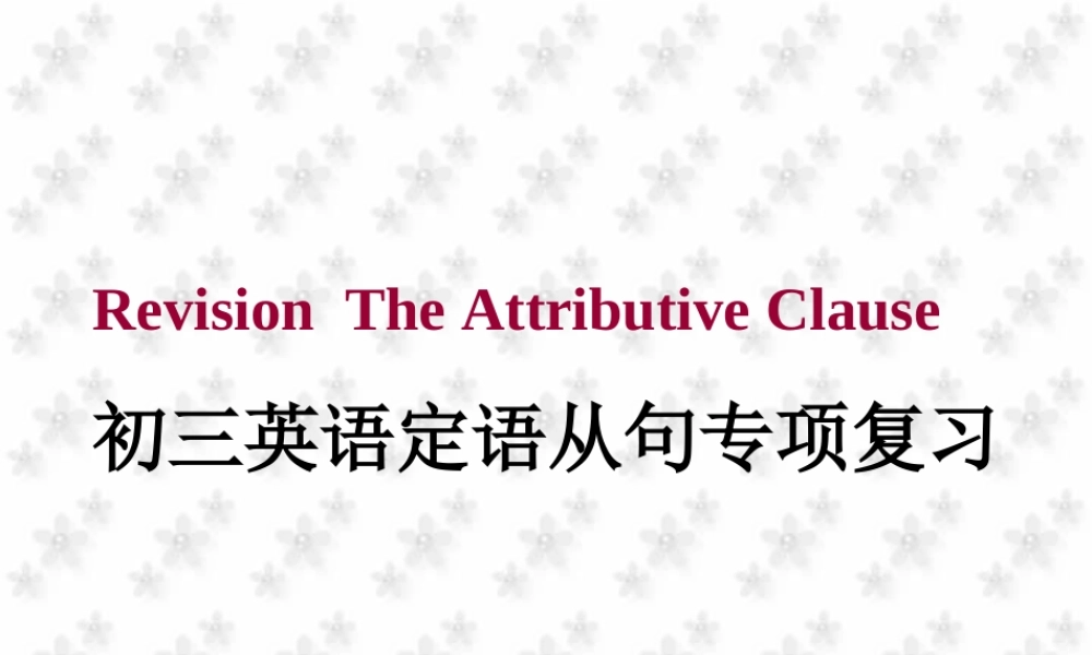 人教版初三英语定语从句专项复习 课件