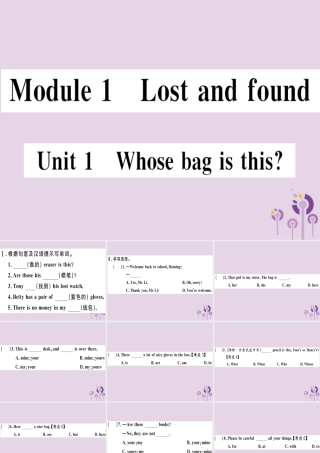 七年级英语下册 Module 1 Lost and found Unit 1 Whose bag is this习题课件 (新版)外研版 课件