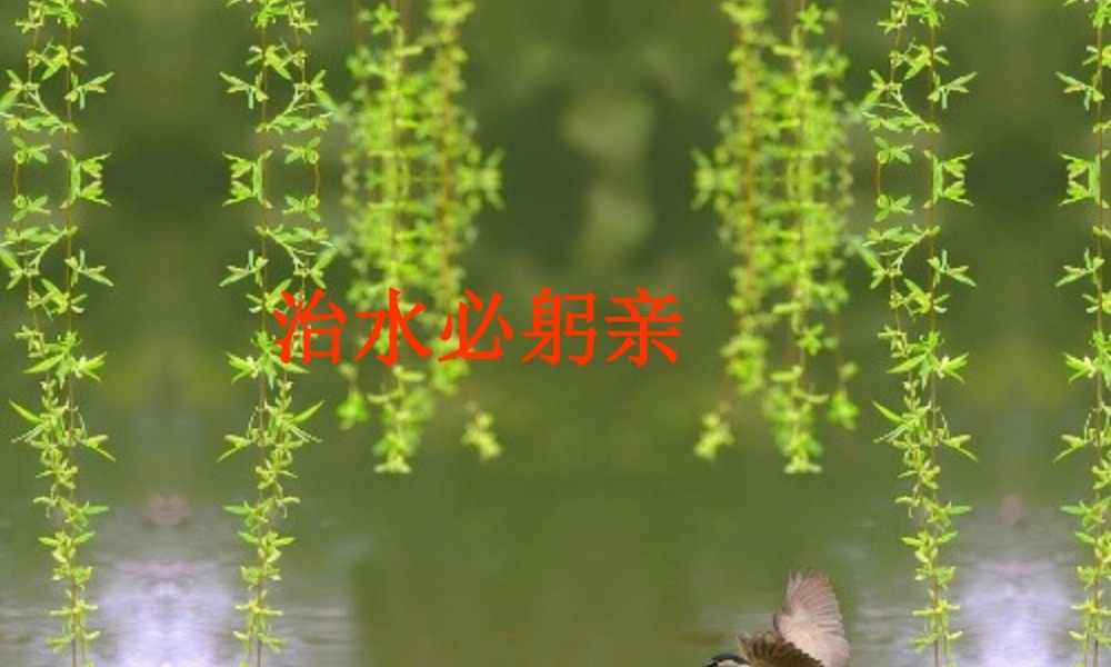 八年级语文上册 第五单元之(治水必躬亲)课件 苏教版 课件