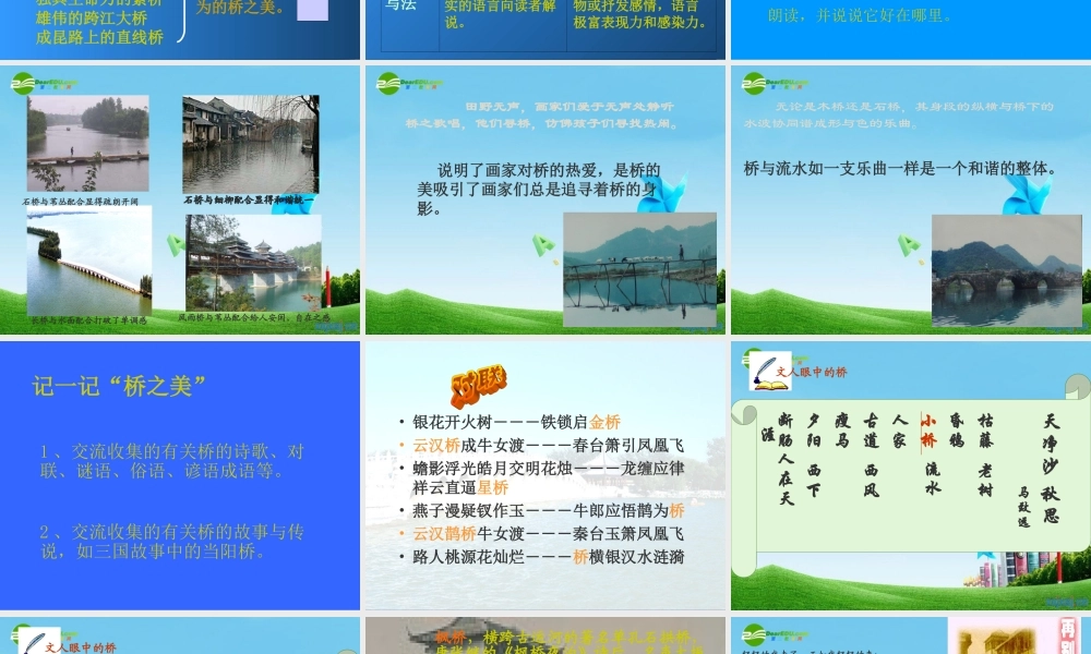 八年级语文上册(桥之美)优秀实用课件 人教新课标版 课件