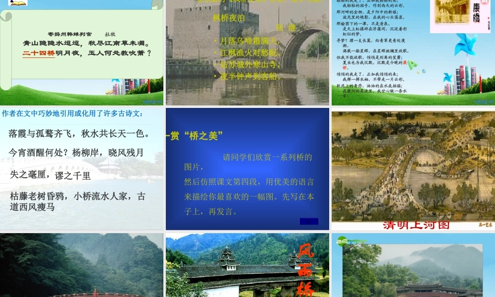 八年级语文上册(桥之美)优秀实用课件 人教新课标版 课件