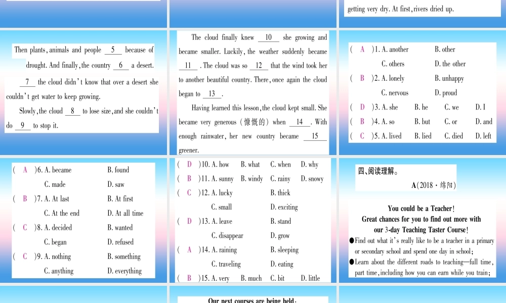 九年级英语全册 寒假作业 Unit 13 We re trying to save the earth课堂导练课件(含中考真题)(新版)人教新目标版 课件