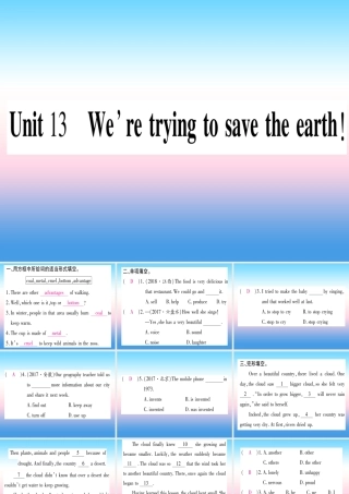 九年级英语全册 寒假作业 Unit 13 We re trying to save the earth课堂导练课件(含中考真题)(新版)人教新目标版 课件