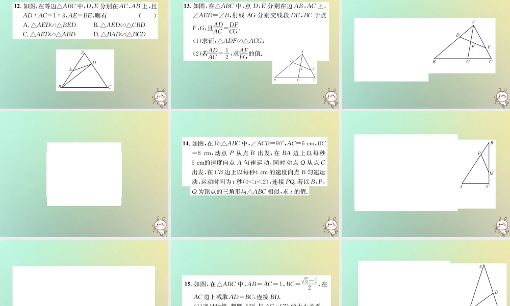 九年级数学下册 第二十七章 相似 272 相似三角形 2721 第2课时 相似三角形的判定定理1、2习题课件 (新版)新人教版 课件