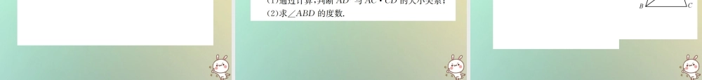 九年级数学下册 第二十七章 相似 272 相似三角形 2721 第2课时 相似三角形的判定定理1、2习题课件 (新版)新人教版 课件