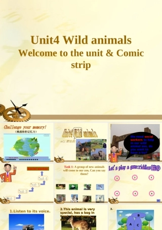 八年级英语上册  unit 4 wild animals welcome课件 牛津版 课件