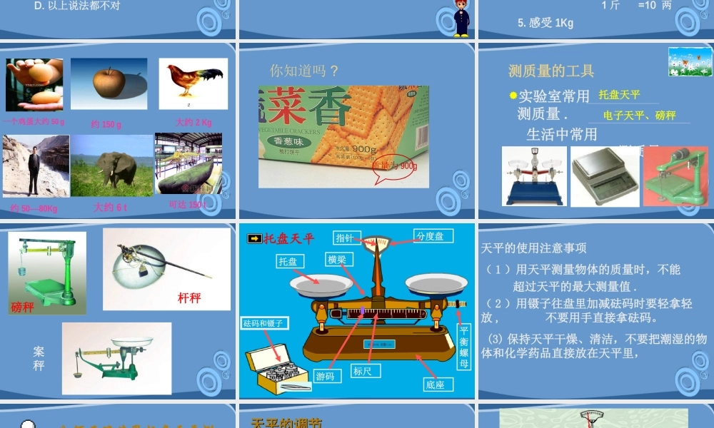 九年级物理 第十一章之(质量)课件 人教新课标版 课件