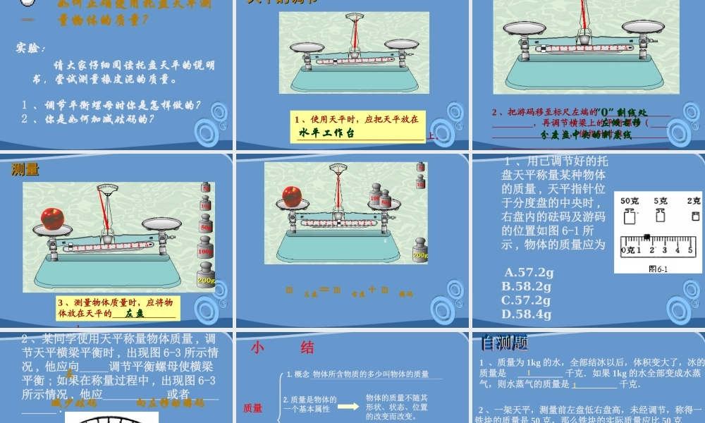 九年级物理 第十一章之(质量)课件 人教新课标版 课件