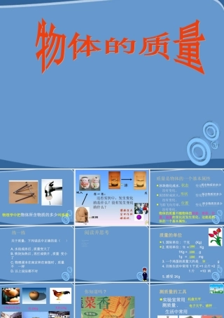 九年级物理 第十一章之(质量)课件 人教新课标版 课件