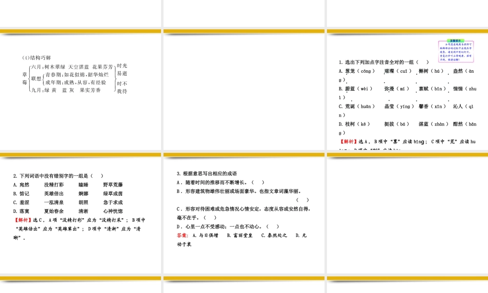 九年级语文上册 第4课 草莓配套课件 语文版 课件