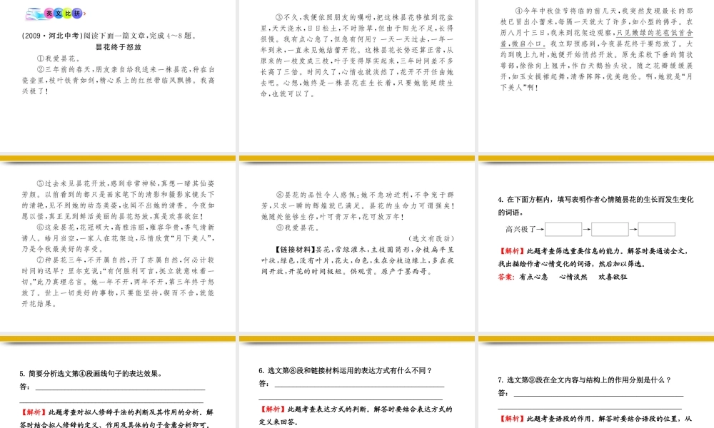 九年级语文上册 第4课 草莓配套课件 语文版 课件