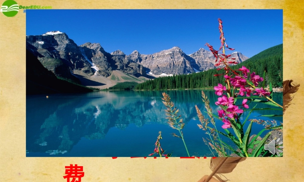 九年级政治 学会合理消费生本导学课件 人教新课标版 课件