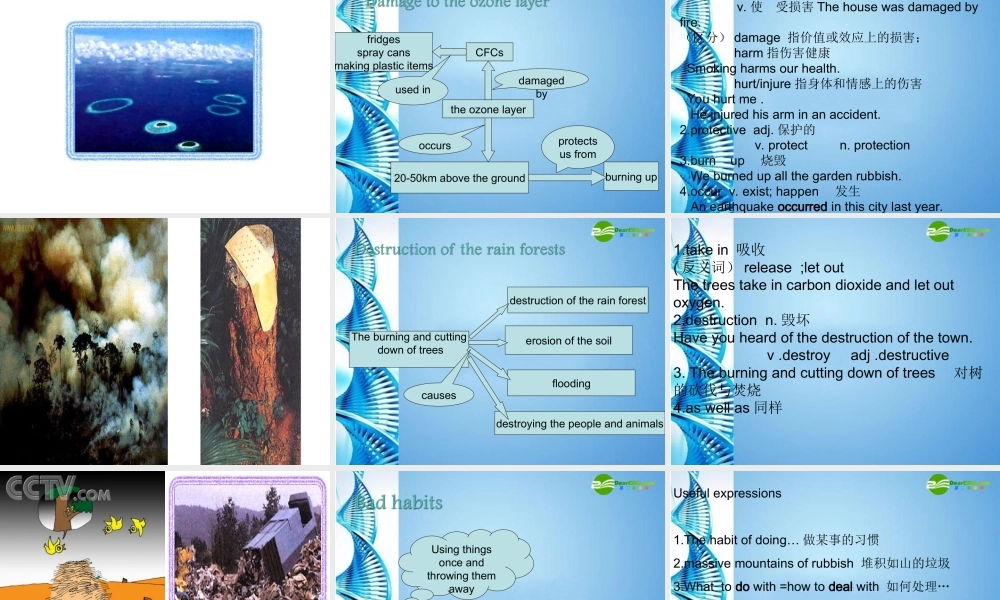 九年级英语下册 Chapter 1 The green consumer课件 牛津沈阳版 课件