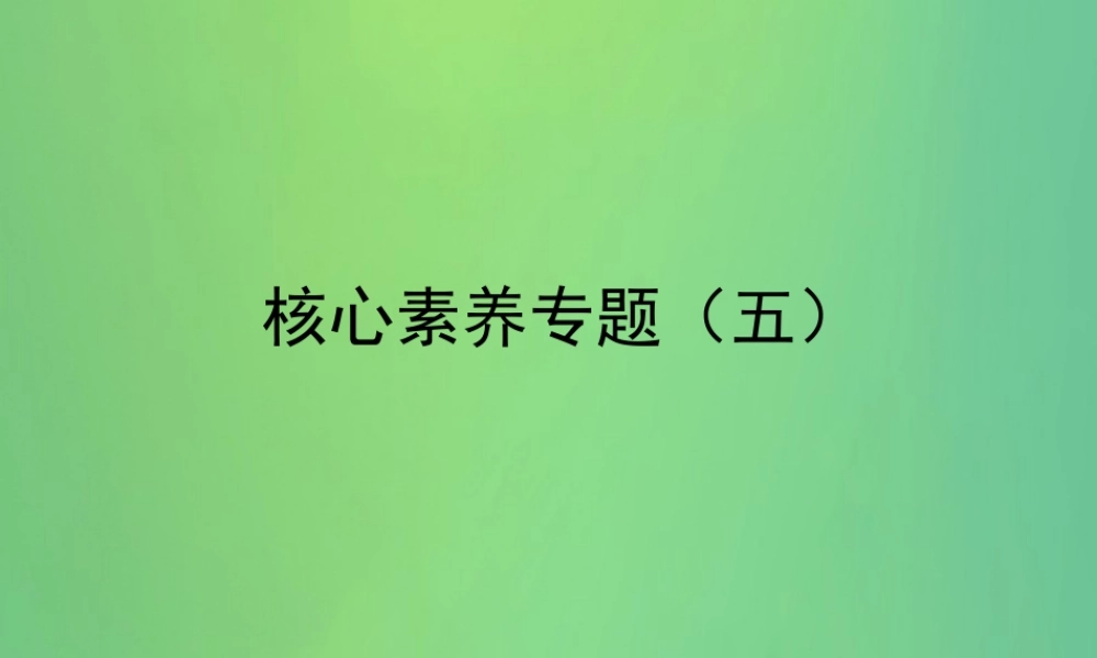中考数学复习 核心素养专题(五)课件