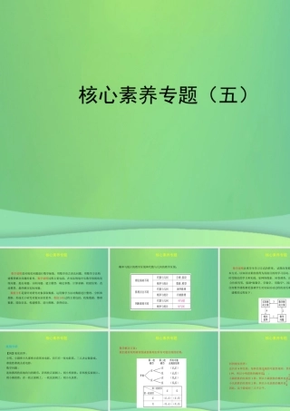 中考数学复习 核心素养专题(五)课件