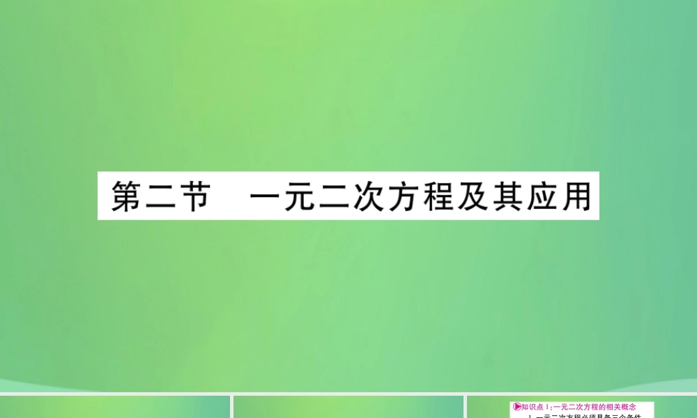 中考数学复习 第一轮 考点系统复习 第二章 方程(组)与不等式(组)第二节 一元二次方程及其应用(精讲)课件