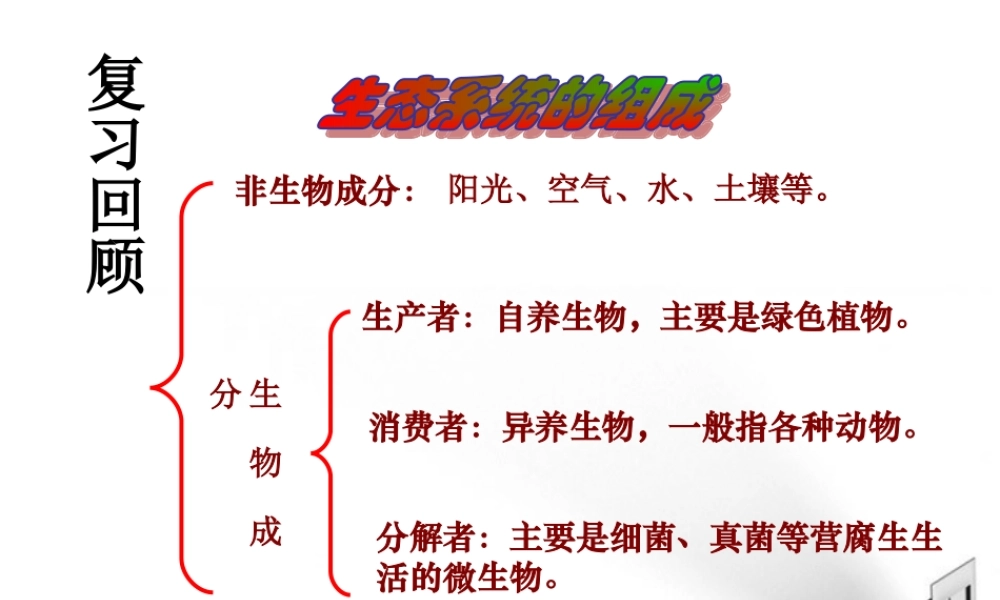 八年级生物下册 第一章第二节食物链和食物网课件 济南版 课件