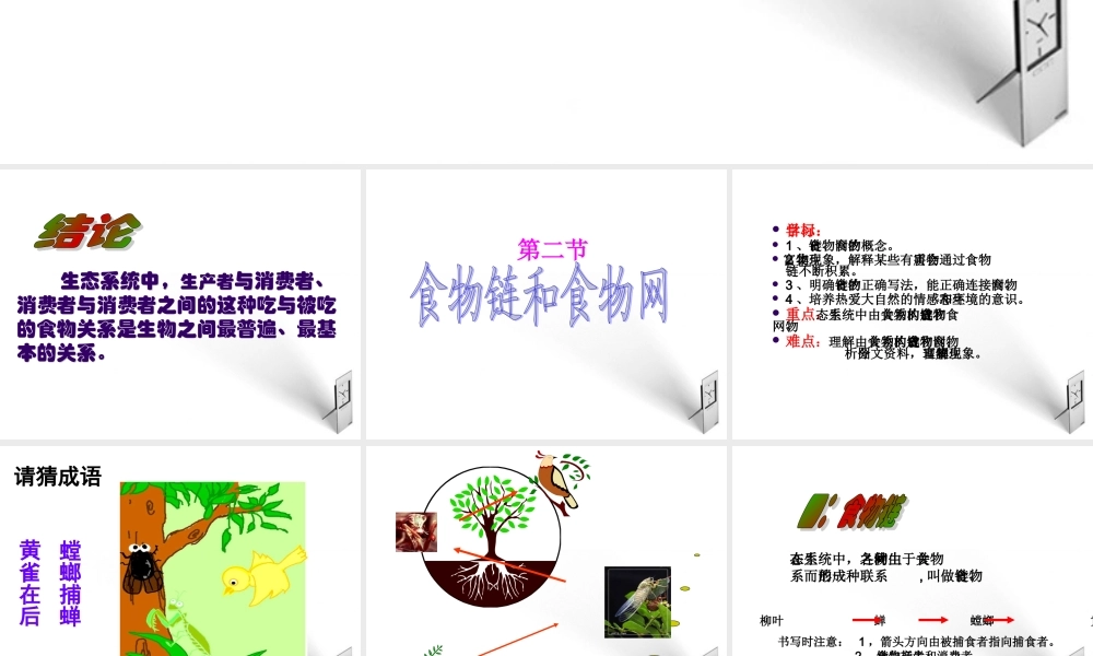 八年级生物下册 第一章第二节食物链和食物网课件 济南版 课件