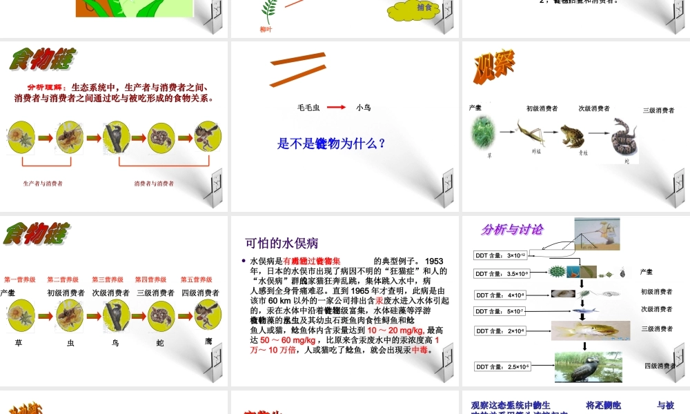八年级生物下册 第一章第二节食物链和食物网课件 济南版 课件